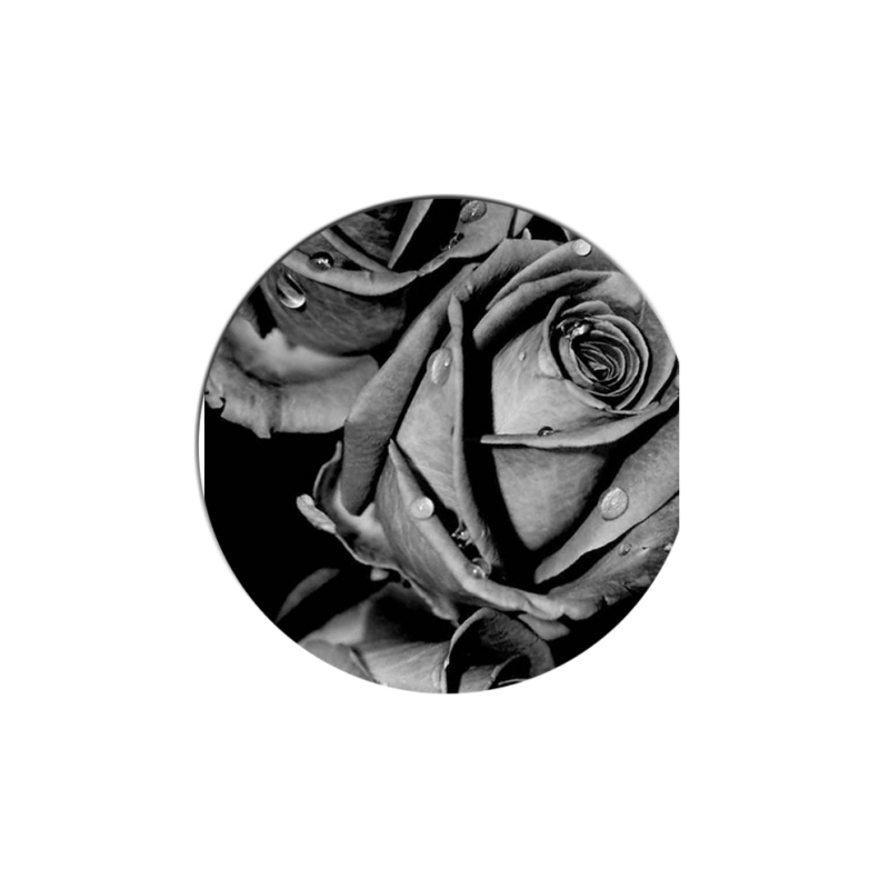 Uprint Popsocket Black and White Roses