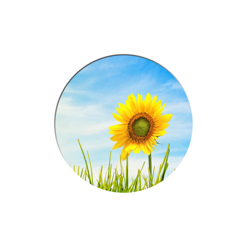 Uprint Popsocket Sunflower Heaven