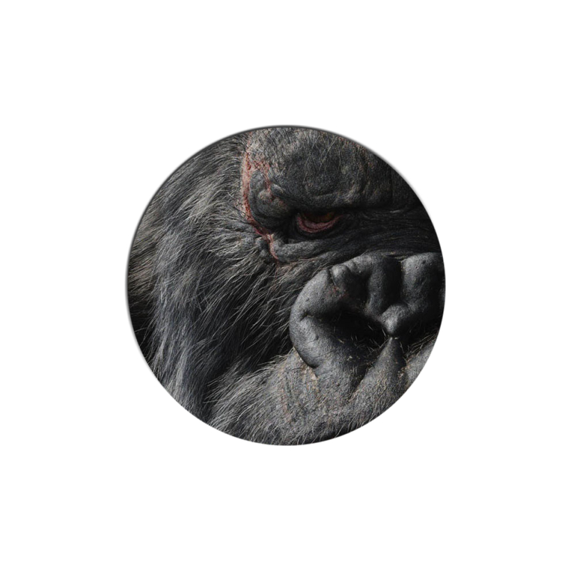 Uprint Popsocket Kong