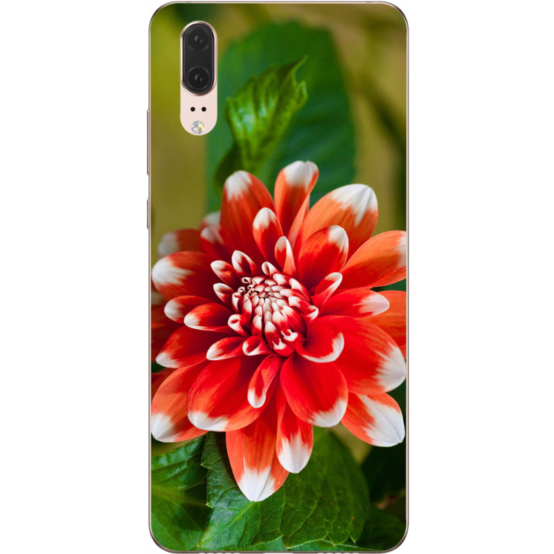 Чехол Uprint Huawei P20 