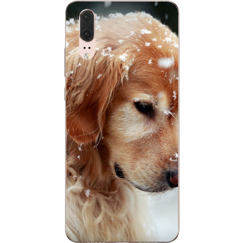 Чехол Uprint Huawei P20 Golden Retriever