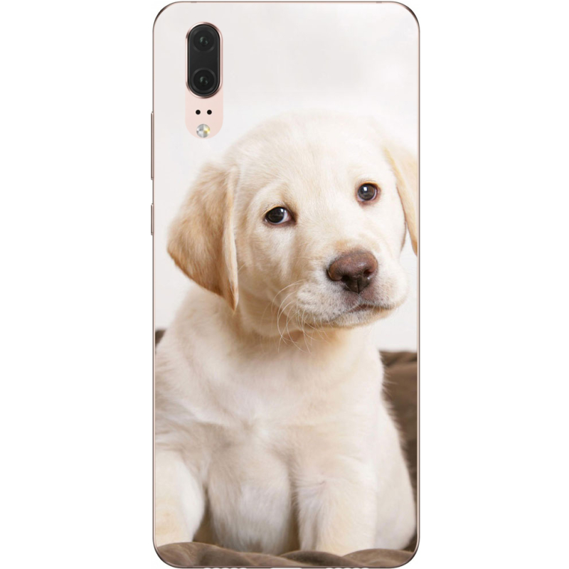 Чехол Uprint Huawei P20 Puppy Labrador