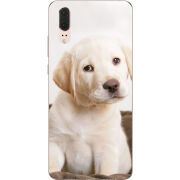 Чехол Uprint Huawei P20 Puppy Labrador