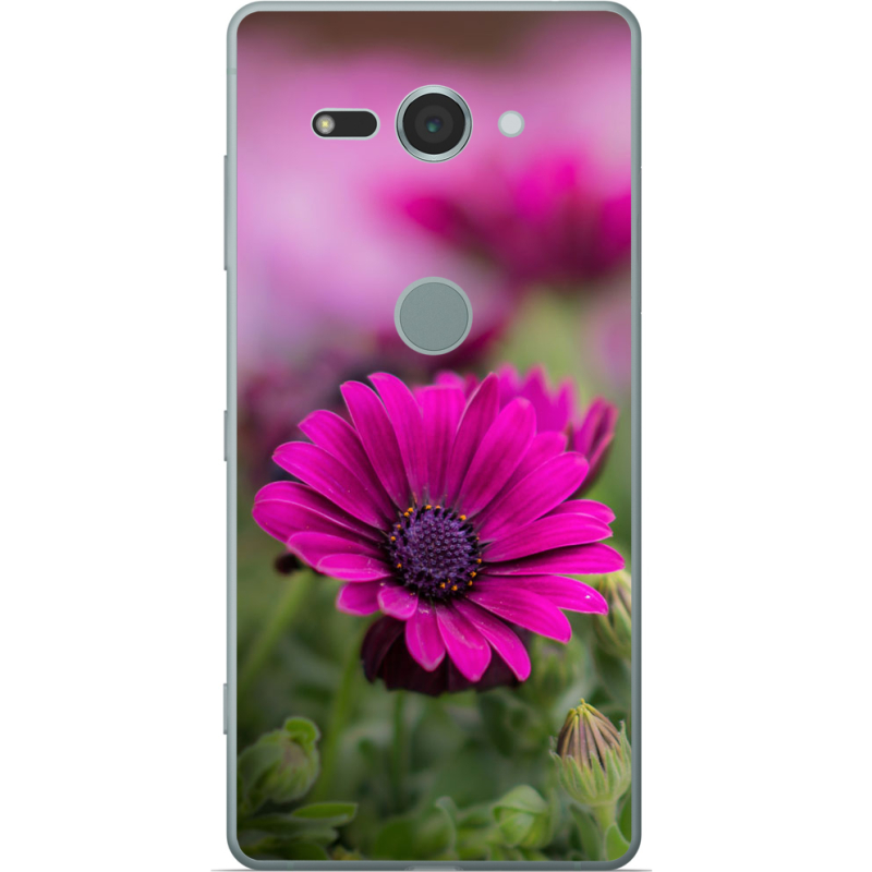 Чехол Uprint Sony Xperia XZ2 Compact H8324 