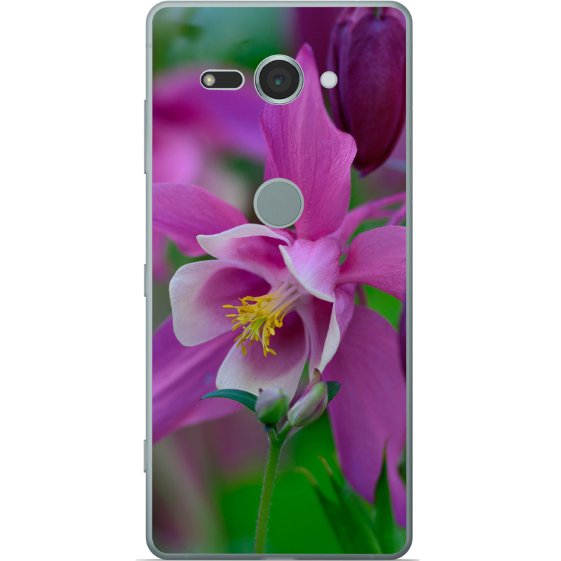 Чехол Uprint Sony Xperia XZ2 Compact H8324 