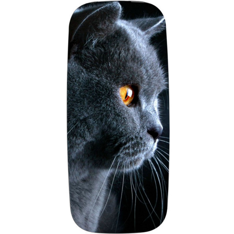 Чехол Uprint Nokia 105 2017 English cat