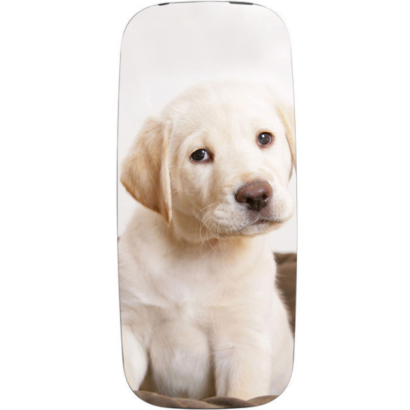 Чехол Uprint Nokia 105 2017 Puppy Labrador