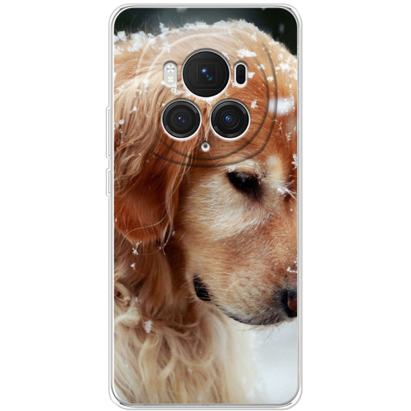 Чехол BoxFace Honor Magic 6 Pro Golden Retriever