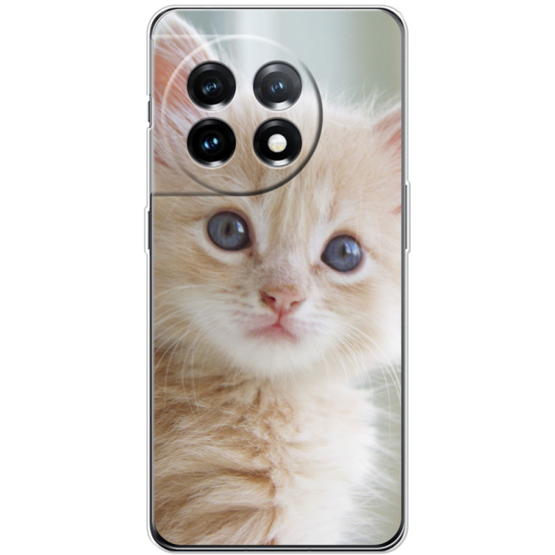 Чехол BoxFace OnePlus 11 Animation Kittens