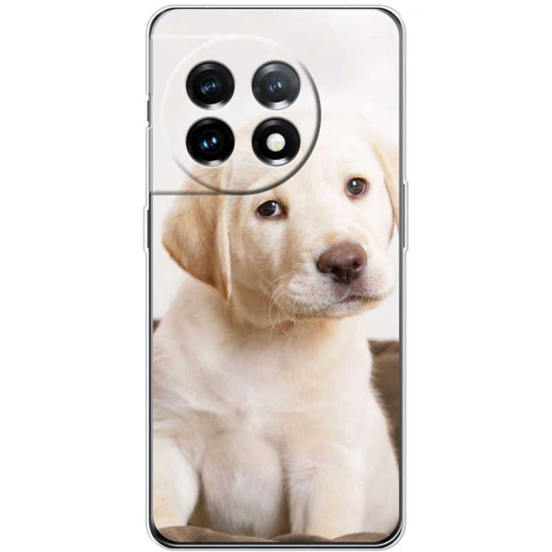 Чехол BoxFace OnePlus 11 Puppy Labrador