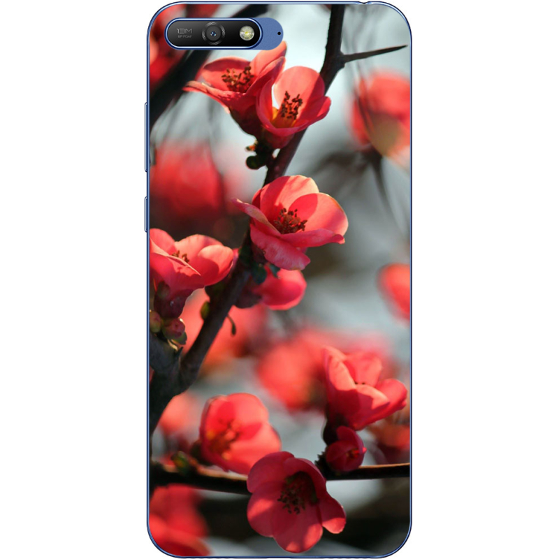 Чехол Uprint Huawei Y6 2018 Awakening Spring