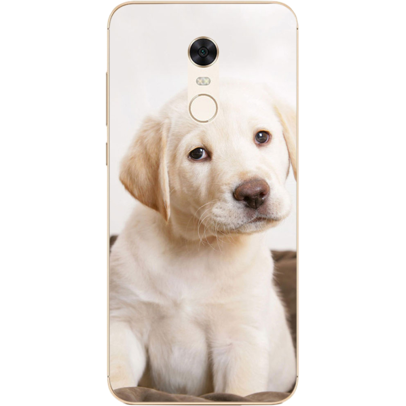 Чехол Uprint Xiaomi Redmi 5 Plus Puppy Labrador