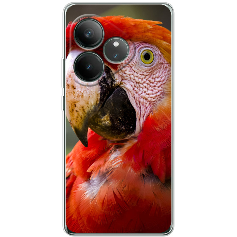 Чохол BoxFace Realme GT 6 