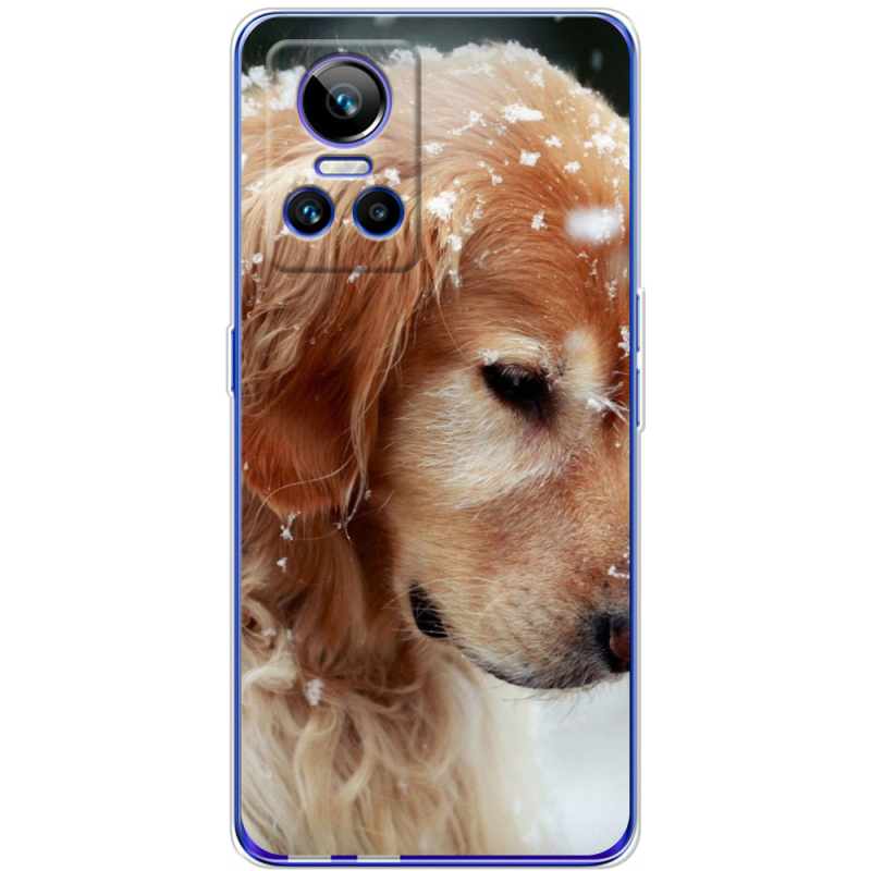 Чохол BoxFace Realme GT Neo 3 Golden Retriever