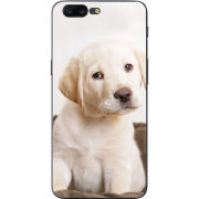 Чехол U-print OnePlus 5 Puppy Labrador