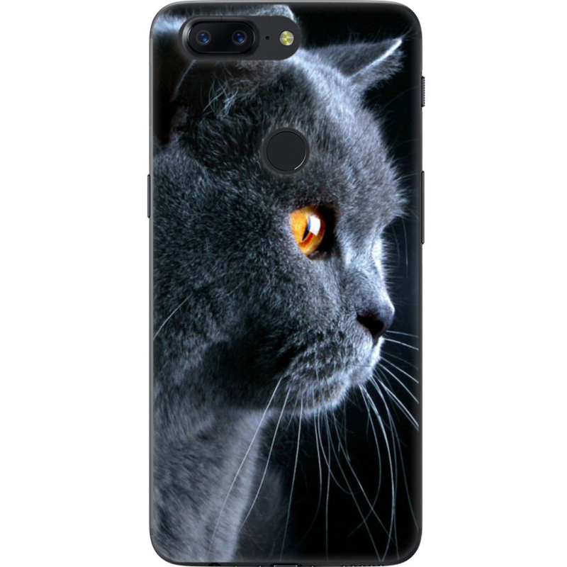 Чехол U-print OnePlus 5T English cat