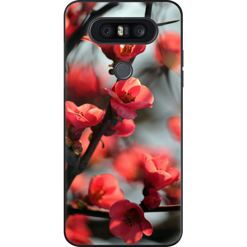 Чехол U-print LG Q8 Awakening Spring