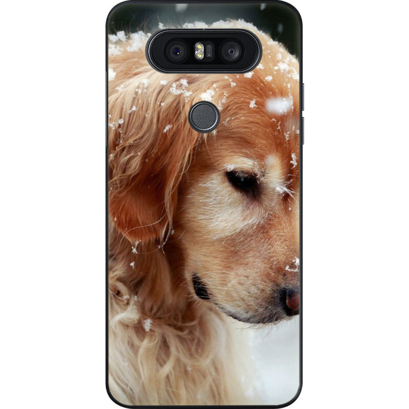 Чехол U-print LG Q8 Golden Retriever