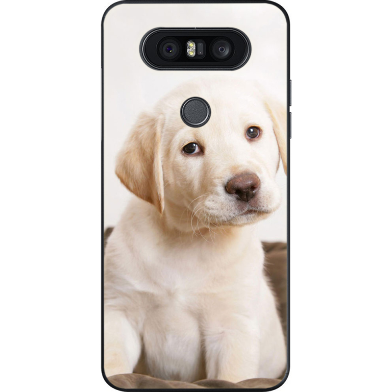 Чехол U-print LG Q8 Puppy Labrador