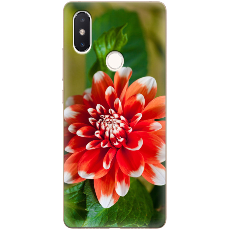 Чехол Uprint Xiaomi Mi 8 SE 