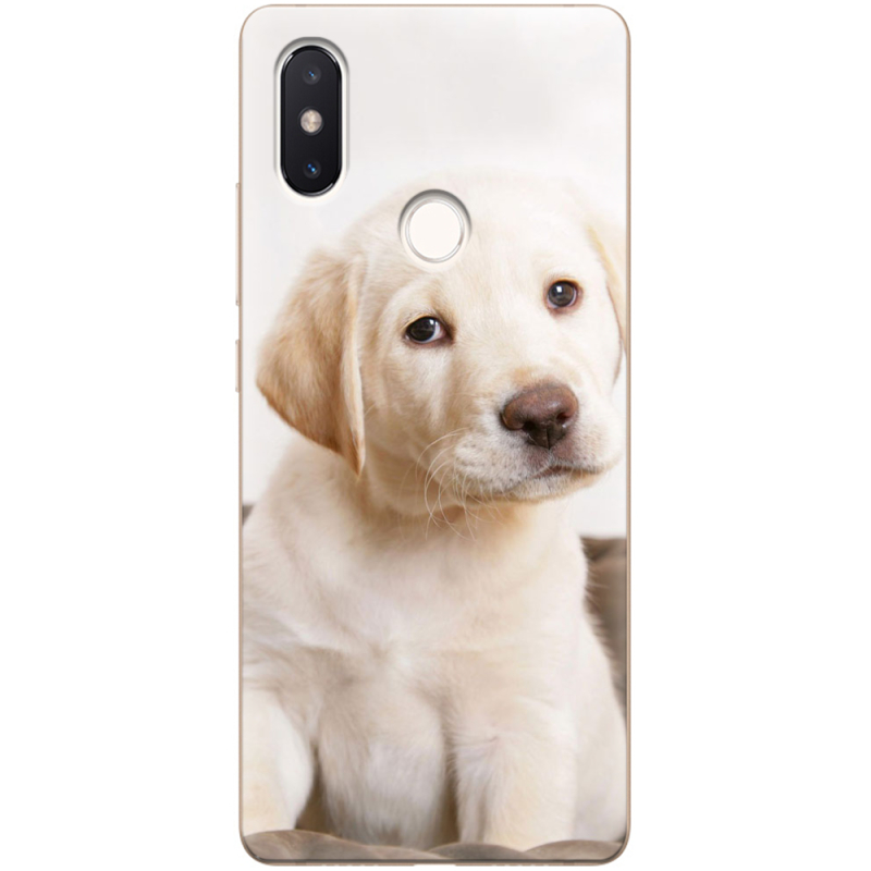 Чехол Uprint Xiaomi Mi 8 SE Puppy Labrador