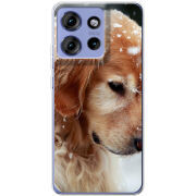 Чохол BoxFace Motorola Edge 50 Golden Retriever