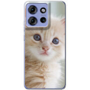 Чохол BoxFace Motorola Edge 50 Animation Kittens