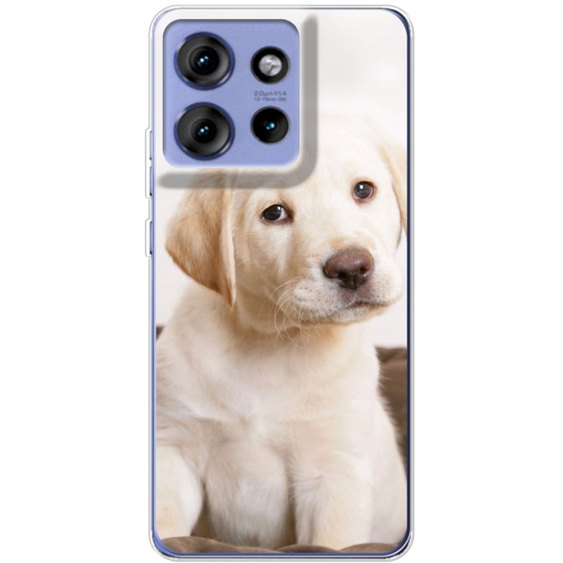 Чохол BoxFace Motorola Edge 50 Puppy Labrador