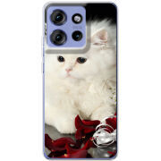 Чохол BoxFace Motorola Edge 50 Fluffy Cat