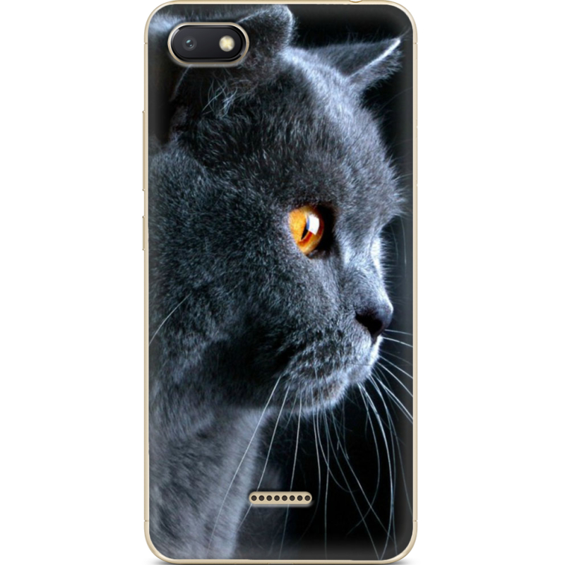 Чехол Uprint Xiaomi Redmi 6A English cat