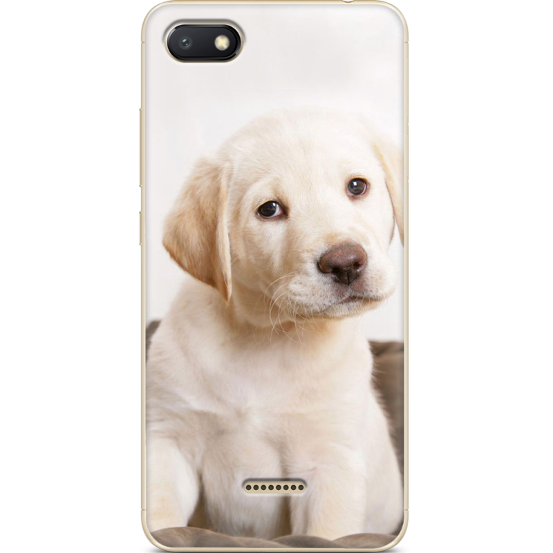 Чехол Uprint Xiaomi Redmi 6A Puppy Labrador