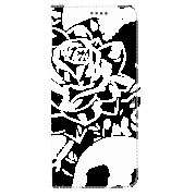 Чохол-книжка Stanford Side Magnet для OnePlus 8  Skull and Roses