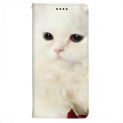 Чохол-книжка BoxFace для OnePlus Nord  Fluffy Cat