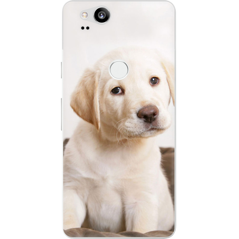 Чехол Uprint Google Pixel 2 Puppy Labrador