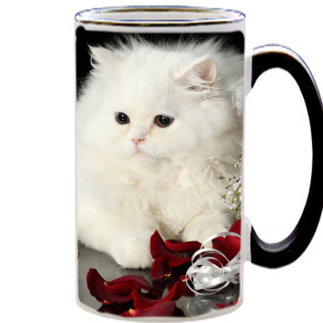 Чашка тест Fluffy Cat