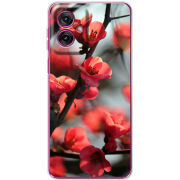 Чохол BoxFace Motorola G55 Awakening Spring