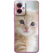 Чохол BoxFace Motorola G55 Animation Kittens