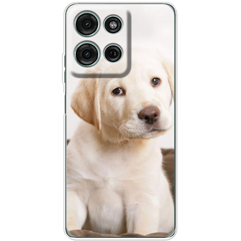 Чохол BoxFace Motorola G75 Puppy Labrador