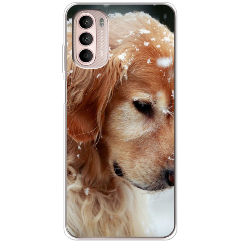 Чохол BoxFace Motorola Moto G52 Golden Retriever