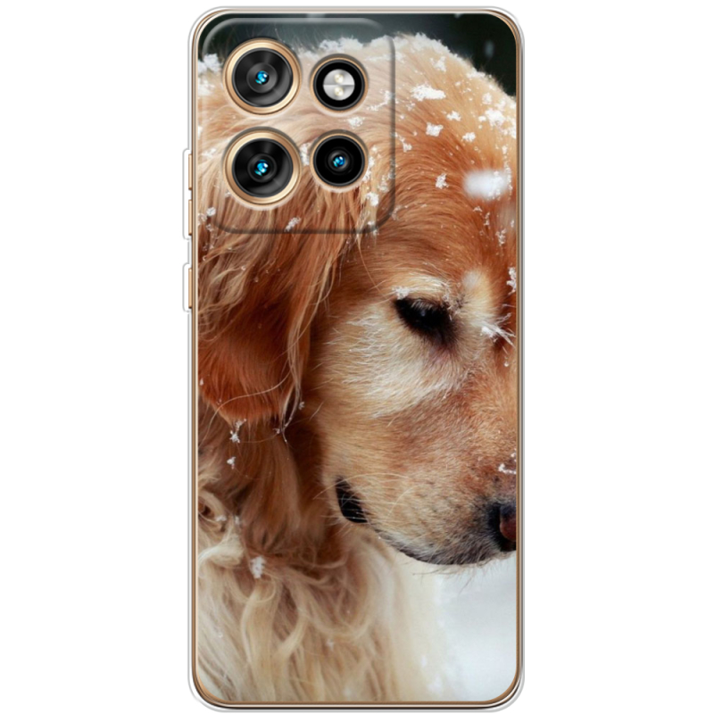 Чохол BoxFace Motorola Edge 50 Neo Golden Retriever