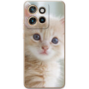 Чохол BoxFace Motorola Edge 50 Neo Animation Kittens