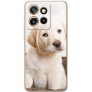 Чохол BoxFace Motorola Edge 50 Neo Puppy Labrador