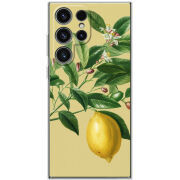 Чохол BoxFace Samsung Galaxy S25 Ultra 