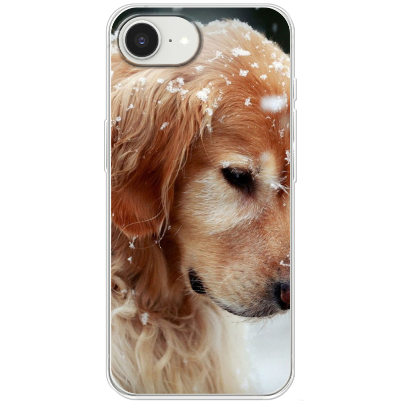 Чохол BoxFace Apple iPhone 16e Golden Retriever