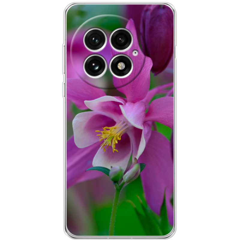 Чохол BoxFace OnePlus 13 