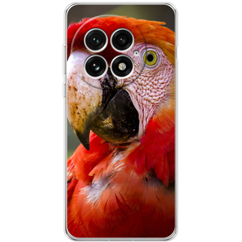 Чохол BoxFace OnePlus 13 