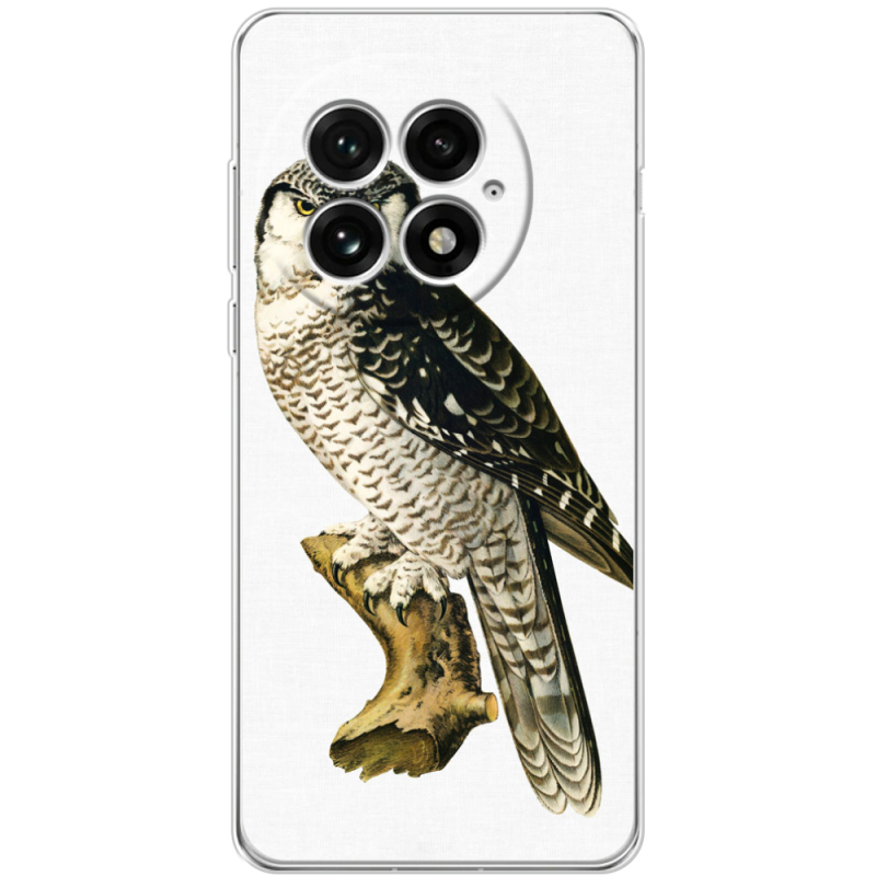 Чохол BoxFace OnePlus 13 