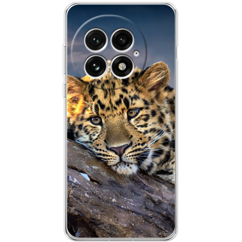Чохол BoxFace OnePlus 13 