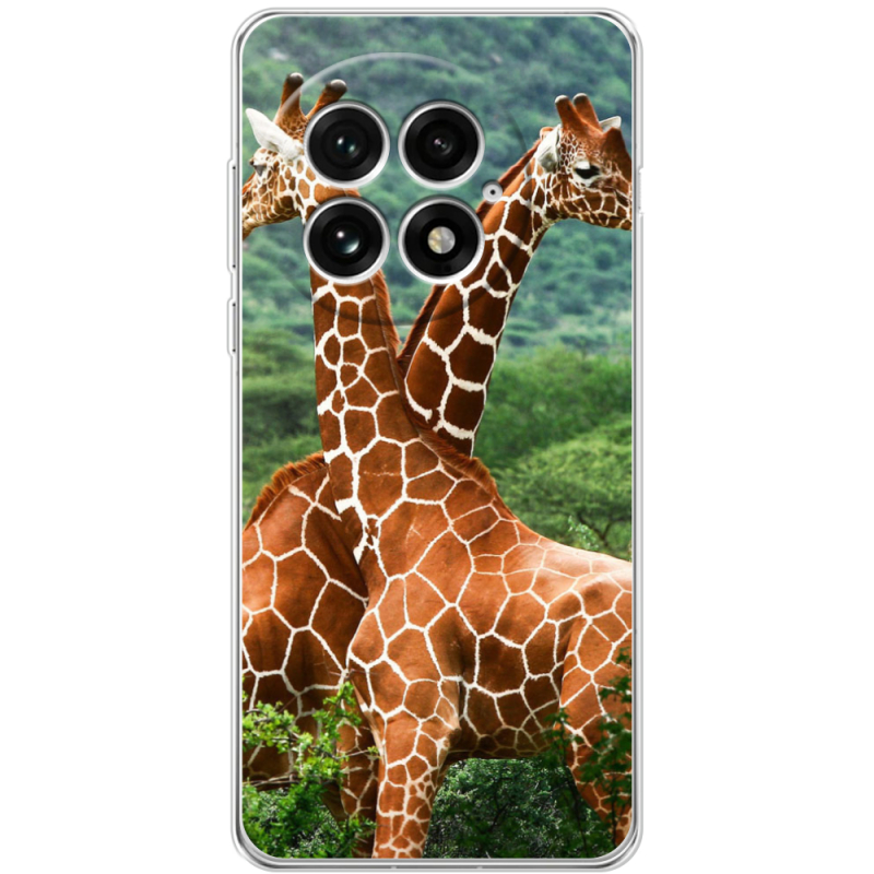 Чохол BoxFace OnePlus 13 