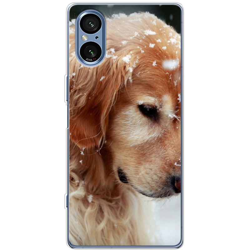 Чохол BoxFace Sony Xperia 5 V Golden Retriever